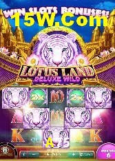 Casino VIP A75
