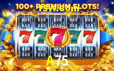 Login Seguro A75